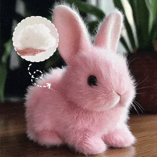 Ugráló és futkározó nyuszi, amely rengeteg örömet és szórakozást hoz a gyerekeknek 🎀