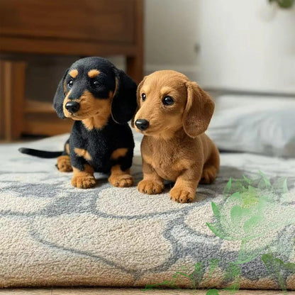 🐶 The Dachys – Érzelmi megnyugvás egyetlen érintésre 💛